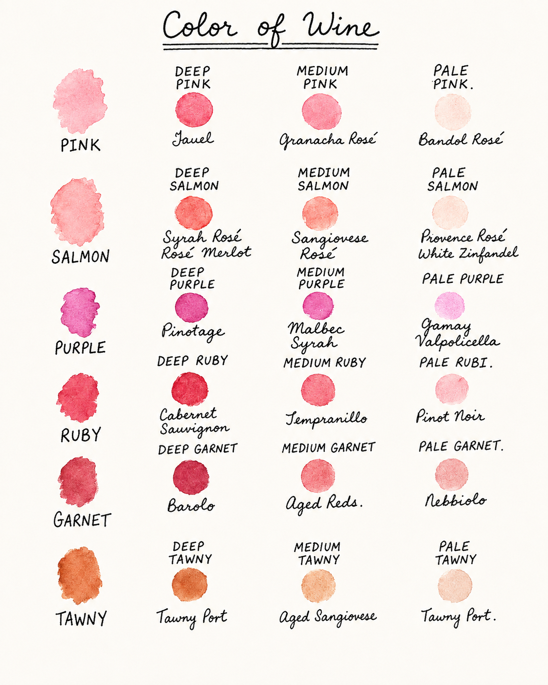 Watercolour colour guide for rosé and red wines, from pink to tawny