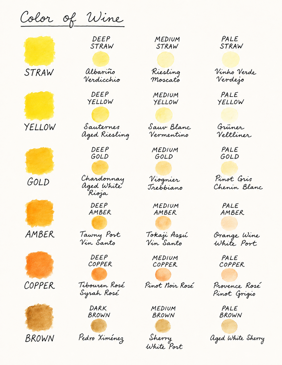 Watercolour colour guide for white, orange and fortified wines, from straw to brown